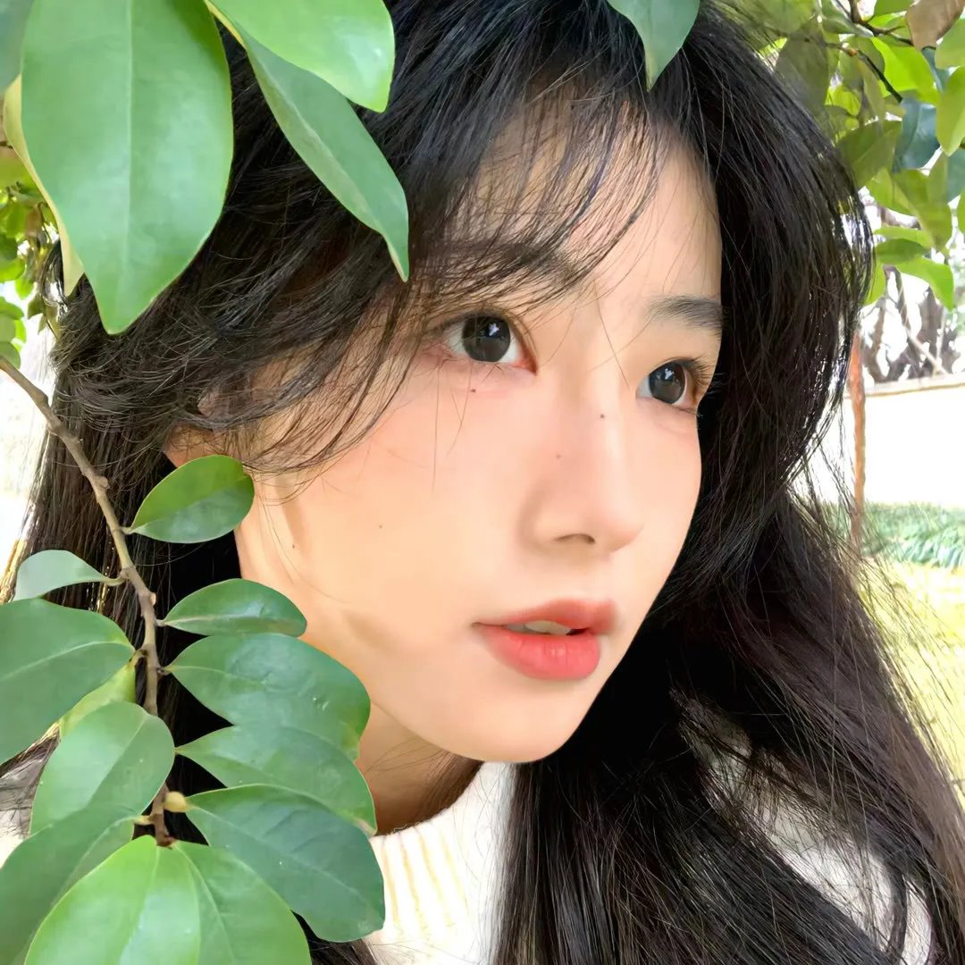 绿色合伙人